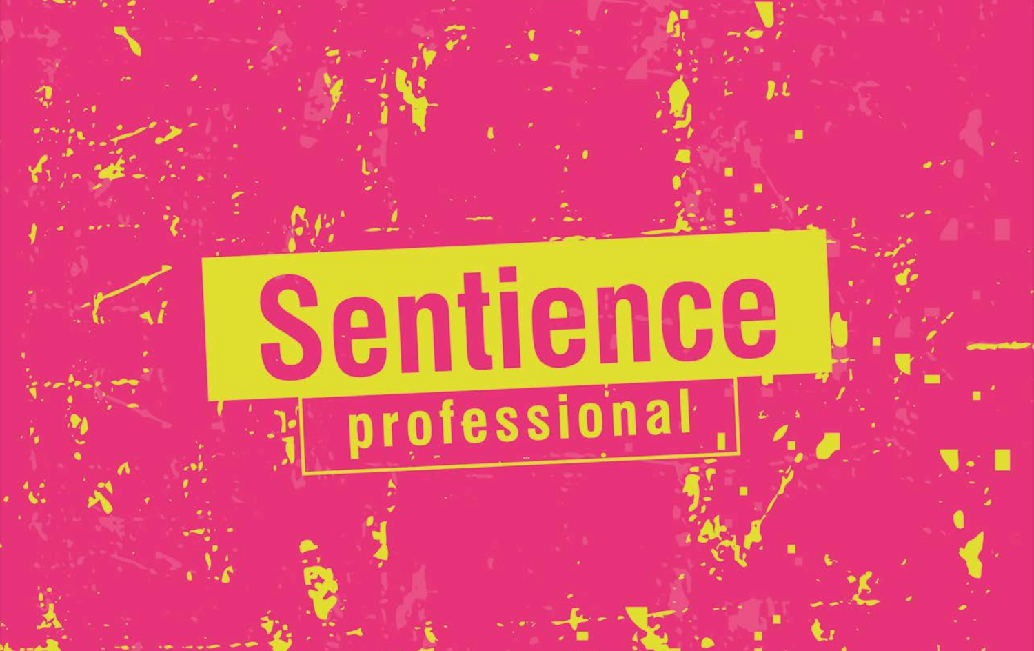 Sentience